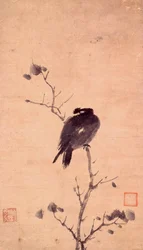 MYNA VOGEL